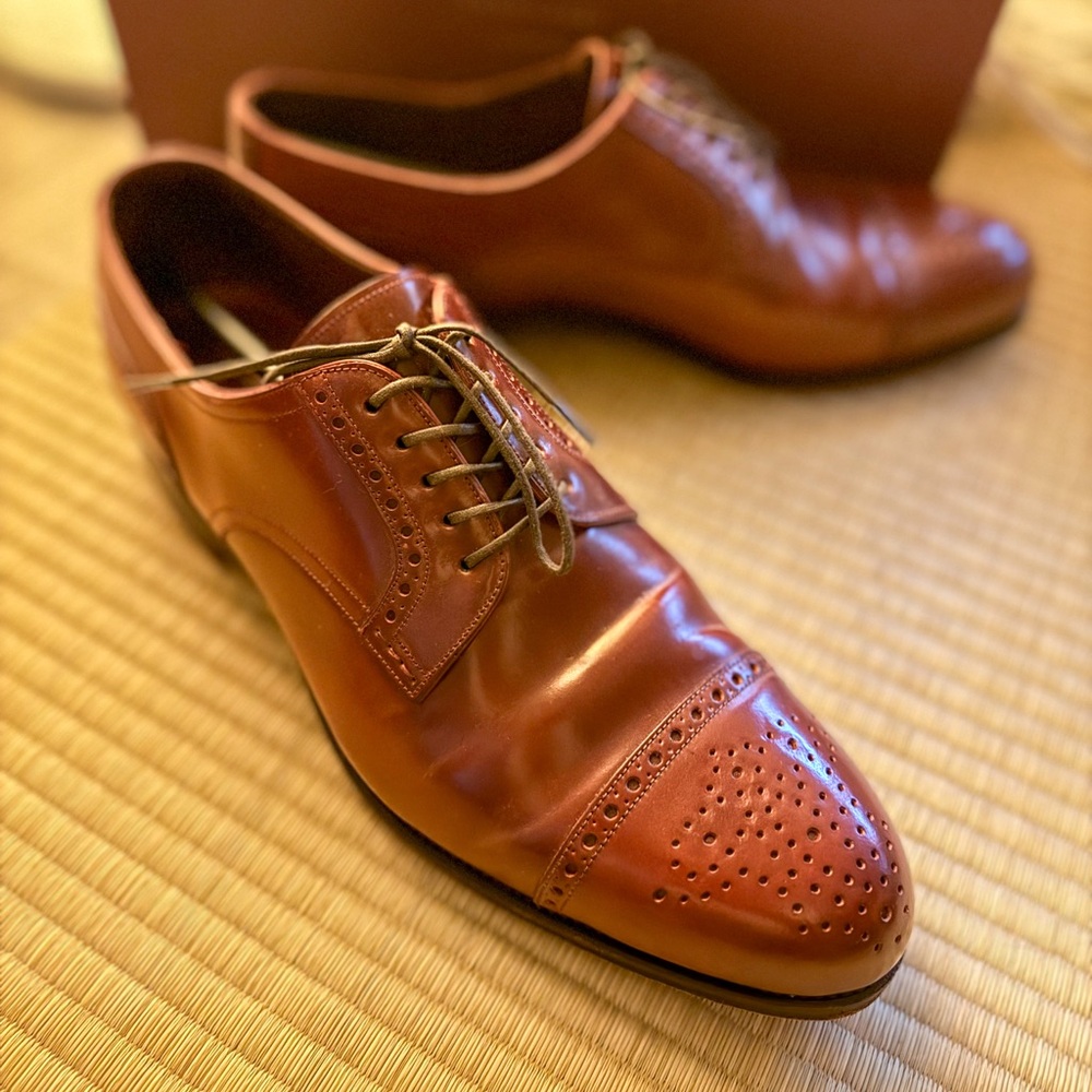 Carmina Shoemaker Rubi shell cordovon bluchers